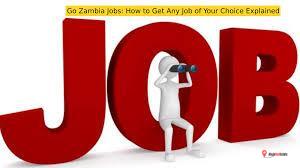 Go Zambia Jobs: How to Get Any Job of Your Choice Explained