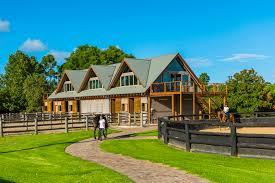 Can You Get a DUI on a Horse? Here's the Real Scoop